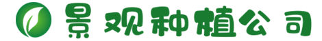 www.729279.com